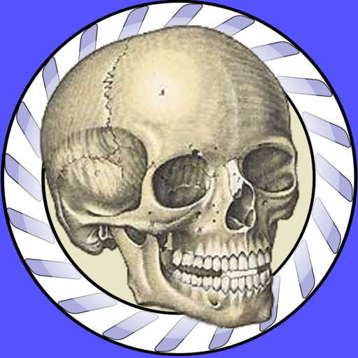 Speed Bones Lite (Quiz)
