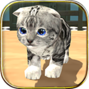 Animal Cat simulator