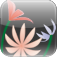 FancyFlower