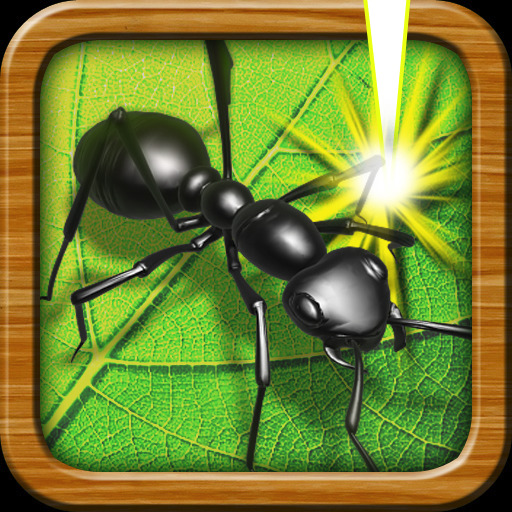 Ants
