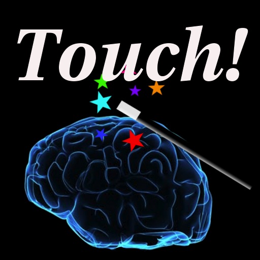 Touch_Brain