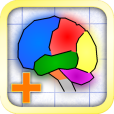Brain App
