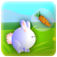 Carrot rabbit