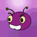 Don't let the Bed Bugs Bite
