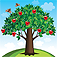 Apple Tree