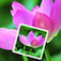 Image Rotater