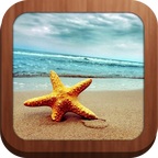 Endless Beach by Infinite Storm