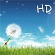 Dynamic Wea HD