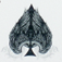 RisingCard
