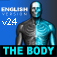body2
