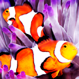 aquaPlanner