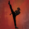 The Karate Kid