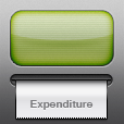 Expenditure