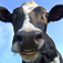 Talk Cow