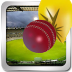 StickmanFlickCricket