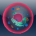 Infection