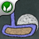 Half-Pi D