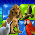 Musical Flash Cards - Animals images sounds and words for kids HD