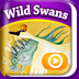 WildSwansPD