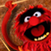 AnimalDrums