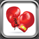 Punch Bag