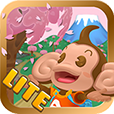 SMB2 Lite