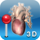 Pocket Heart