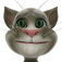 Talking Tom Cat