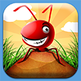 Pocket Ants