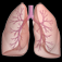 Lung Cancer Stage