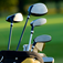 GolfClubSelector