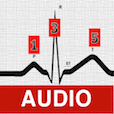 ECG Audio Course