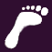 Pedometer