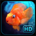 iQuarium HD