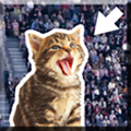KittyInTheCrowd