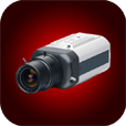 WorldLiveCams