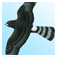 Sasol eBirds of Southern Africa