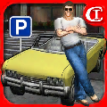 CrazyParkingCarKing