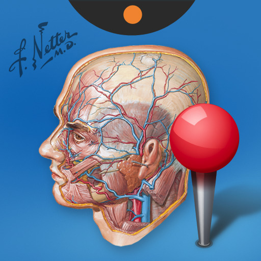 Head-Neck