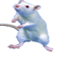 tap mouse