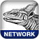 Netwk Tools