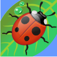 Kids games for Babies