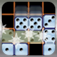 Puzzle Domino