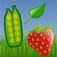 Garden Planner