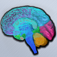 Brain