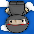 Fallin' Ninja