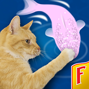 Cat Fishing 2