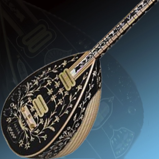 PocketSaz