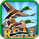 Real Bird Hunting Challenge