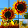 Picture Tile Slider Pro